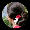 shakib.ahmed816