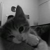 user610605580