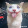 leo.mobile92