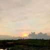 hafifah4235