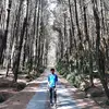 gembel433