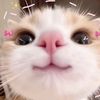 alika_5230