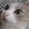 user1402428148262