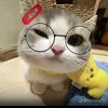 chan.hongly4