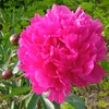 user2102720279829
