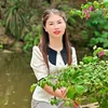 Hoa Của Núi