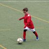 afonso.jardim2