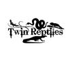 twinreptiles.de