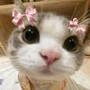 tiara_ra93