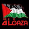 mustapha.benazzed
