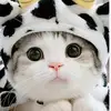 zacky_248