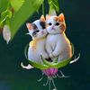 .rohim.rohim7