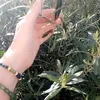 leylasan4