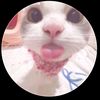 _alluyora