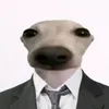 cmnhe43