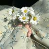 aygul_abbasovaa