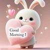 comfortaugustine11