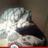 debbie.h94