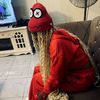 shesmiracle2
