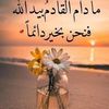 achref.omro