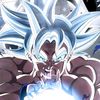 user55681730906120