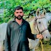 zahra.fatima208