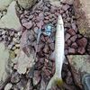 usernamenotusable