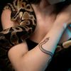 x._.le.serpent._x