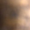 wellygrg1