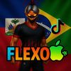 itsflexo2