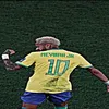 dvzin.vp20