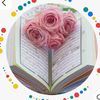 user744170326050