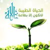 healthy123.qatar