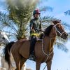 m_almansori7