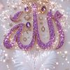 malak.saleh382