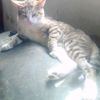 ernes_281299