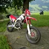 male1556