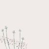 decx.apl