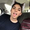 tulip_kira