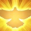 godsgracewergrate