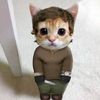 meowingcatuwukawaii