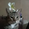 wiktoria.dowi