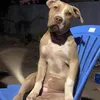 quocbao_808