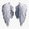 angelwing.png