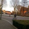 guusjeklomp