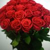user8330679181303