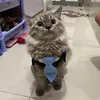 meocontenmo