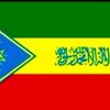 shamshadin.jemal4