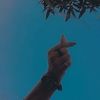 itxmonu804