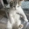 missy16416